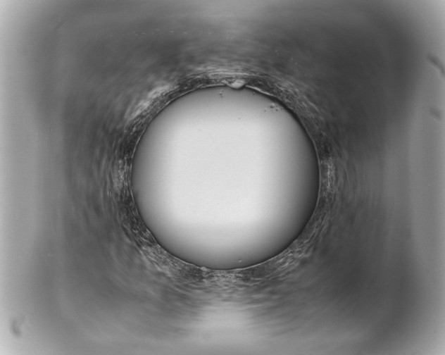 X0000101661157200807311429