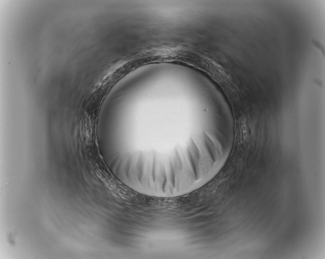 X0000101661158200807311429