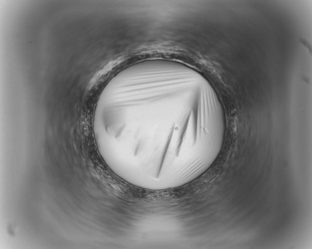 X0000101661159200807311429