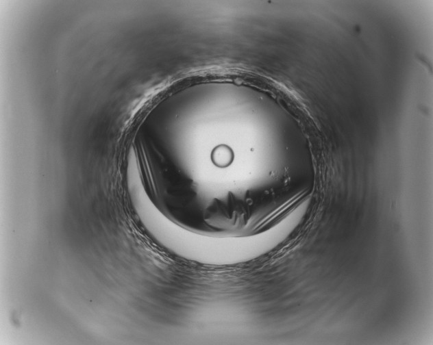 X0000101661160200807311429