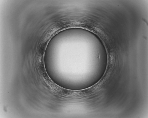 X0000101661161200807311429