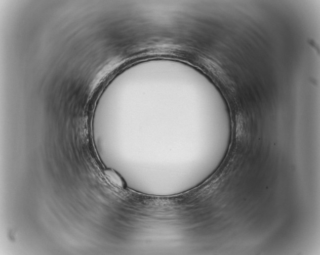 X0000101661164200807311428