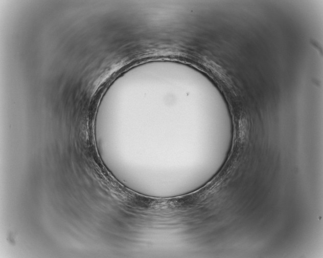 X0000101661165200807311428