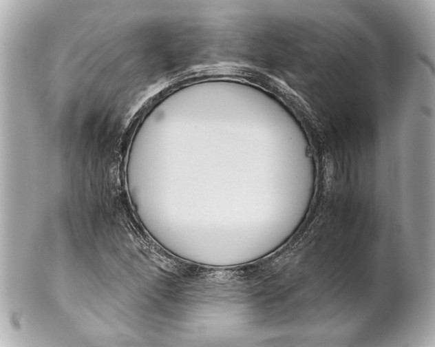 X0000101661166200807311428