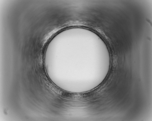 X0000101661167200807311428