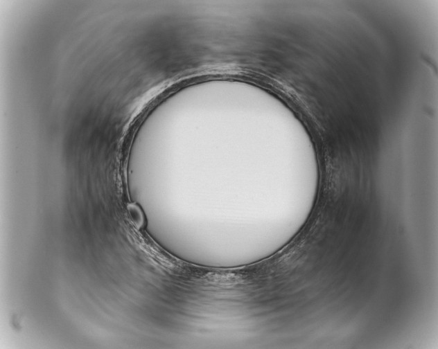 X0000101661168200807311428