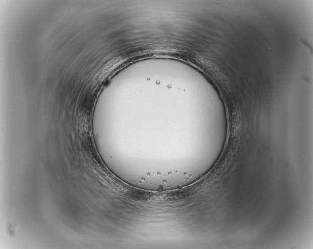 X0000101661169200807311428