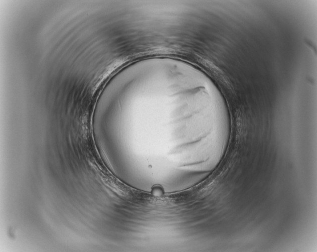 X0000101661170200807311428