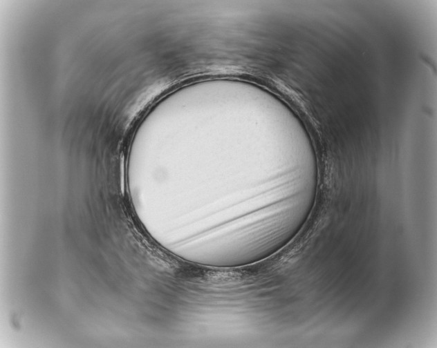 X0000101661171200807311428