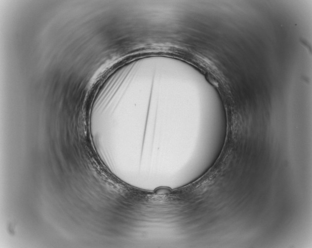 X0000101661172200807311428