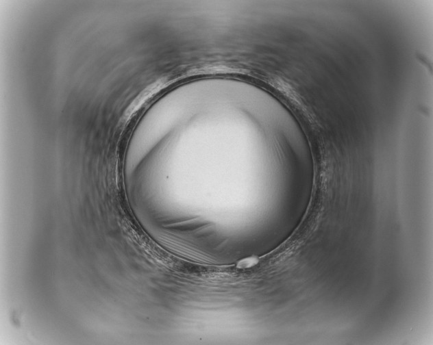 X0000101661173200807311428