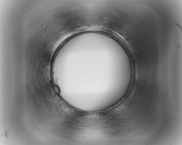 X0000101661174200807311428