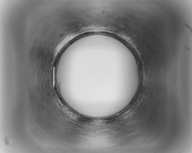 X0000101661175200807311428