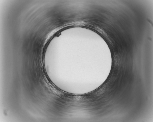 X0000101661176200807311428