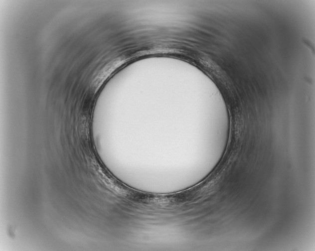 X0000101661177200807311428