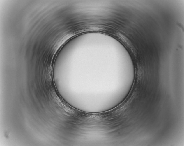 X0000101661178200807311428