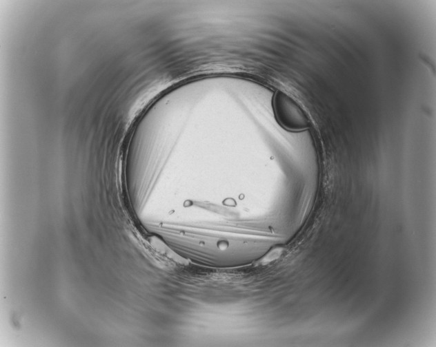 X0000101661179200807311428