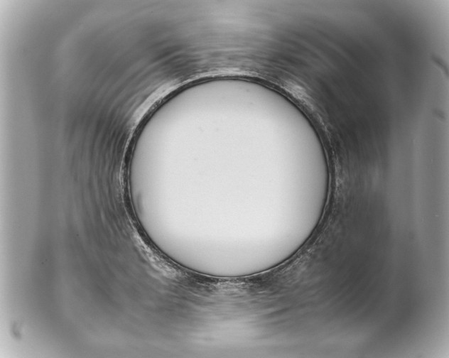 X0000101661181200807311428