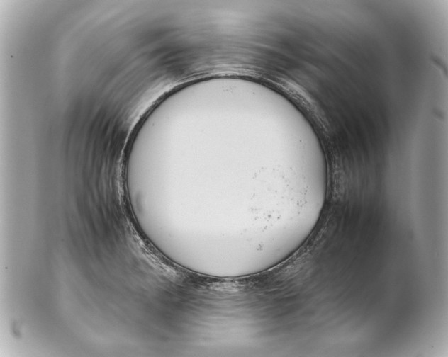 X0000101661182200807311428