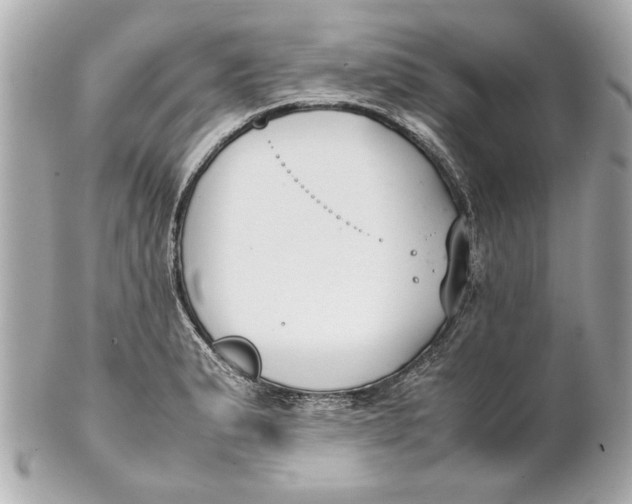 X0000101661183200807311428