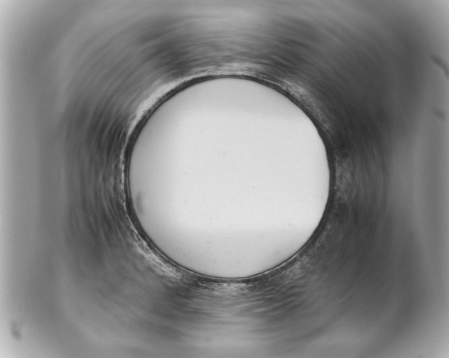 X0000101661184200807311428