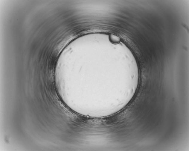 X0000101661185200807311428