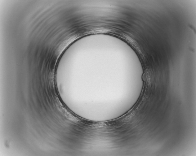 X0000101661186200807311428