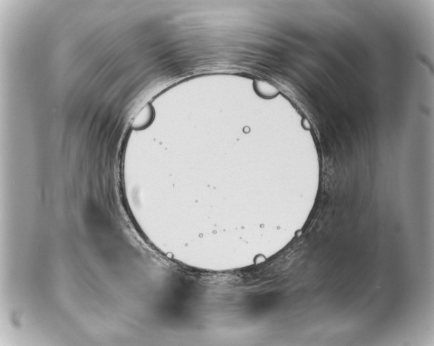 X0000101661187200807311428