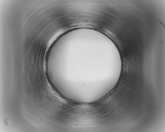 X0000101661188200807311428