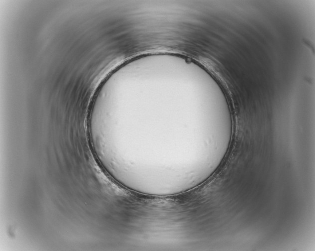 X0000101661189200807311428