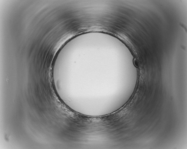 X0000101661190200807311428