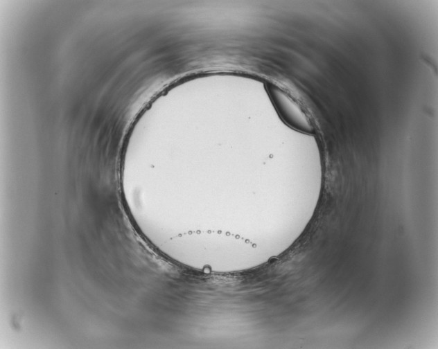 X0000101661191200807311428