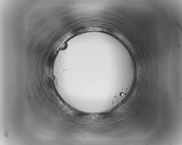 X0000101661193200807311428