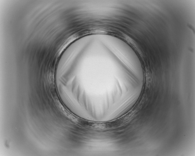 X0000101661194200807311428