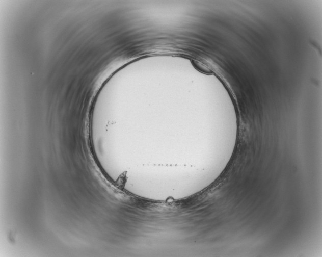 X0000101661195200807311428