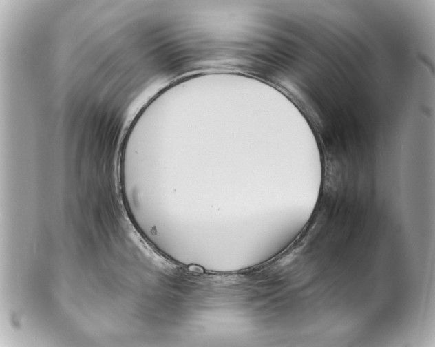 X0000101661196200807311428