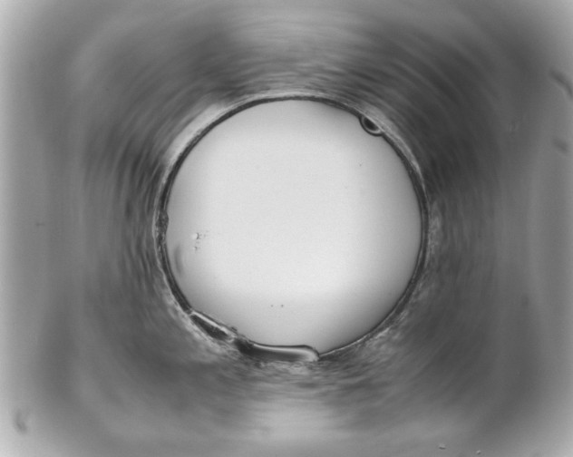 X0000101661197200807311428