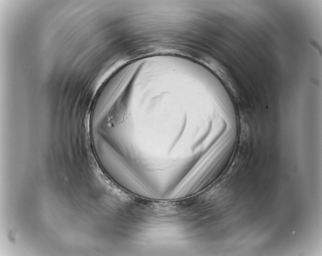 X0000101661198200807311428