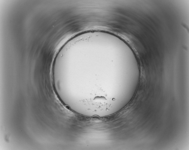 X0000101661199200807311428