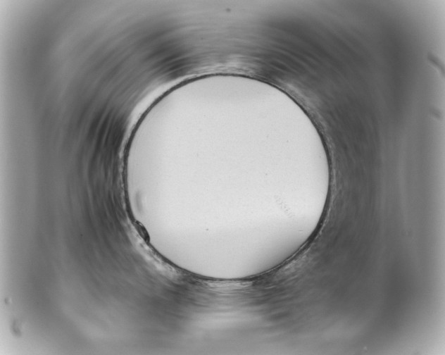 X0000101661200200807311428