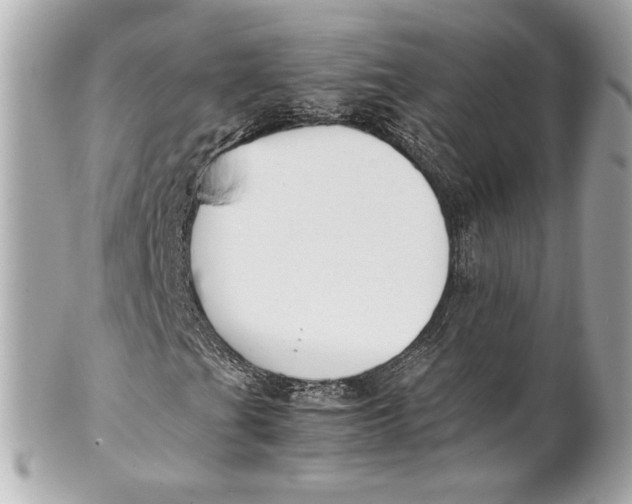 X0000101661201200807311427