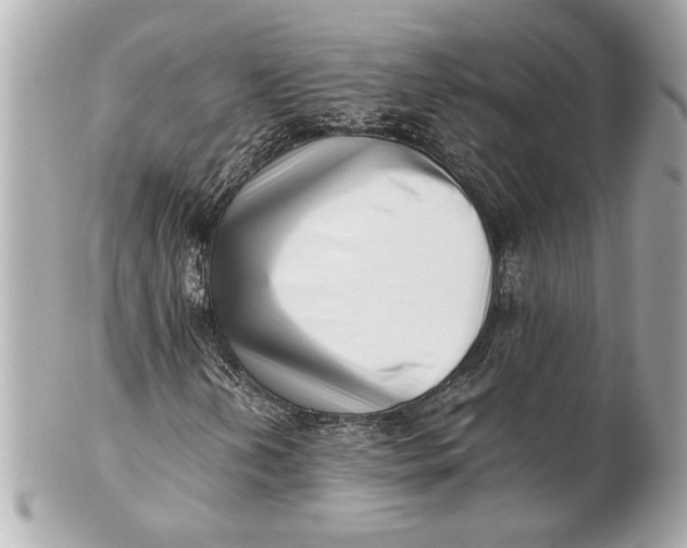 X0000101661202200807311427