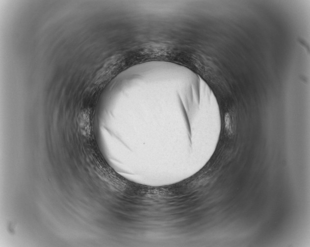 X0000101661203200807311427