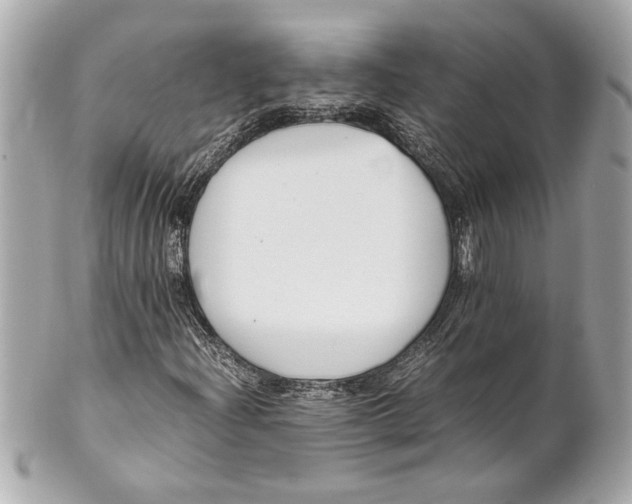 X0000101661204200807311427