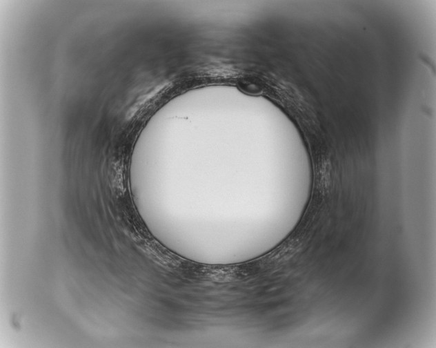 X0000101661205200807311427