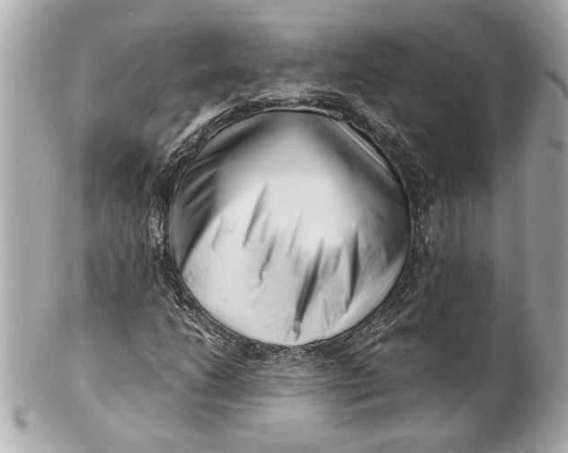 X0000101661206200807311427