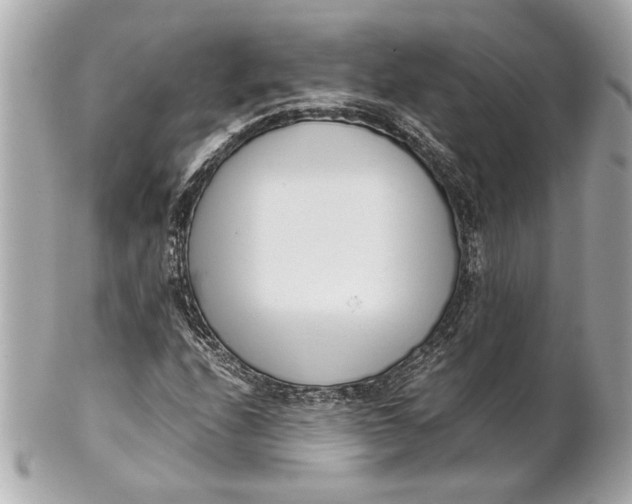 X0000101661208200807311427