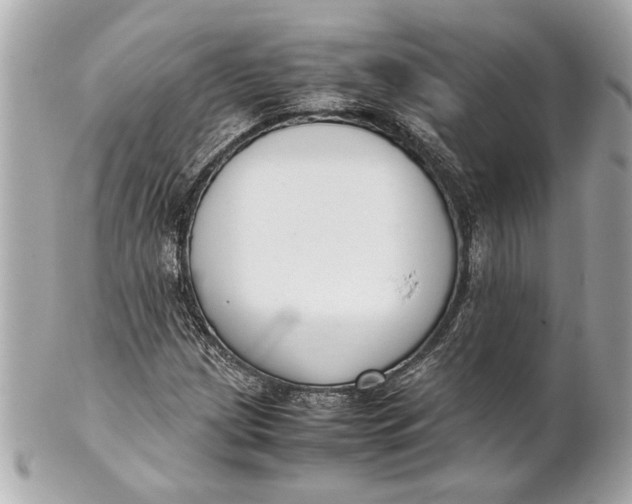 X0000101661209200807311427