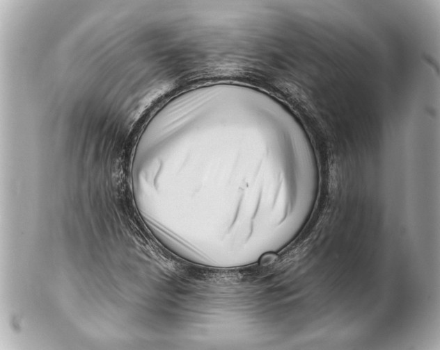 X0000101661210200807311427