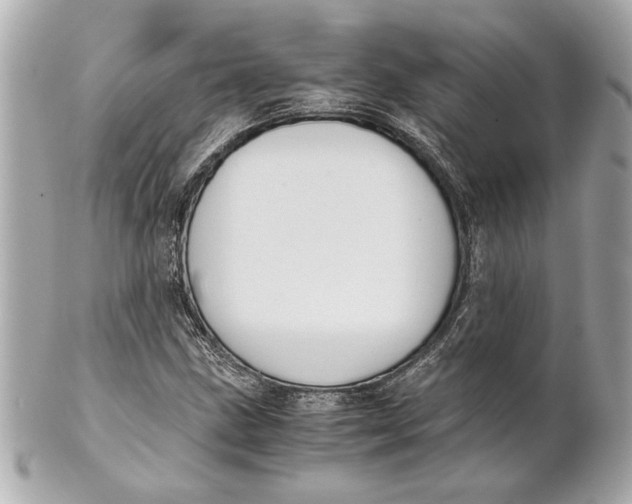 X0000101661211200807311427